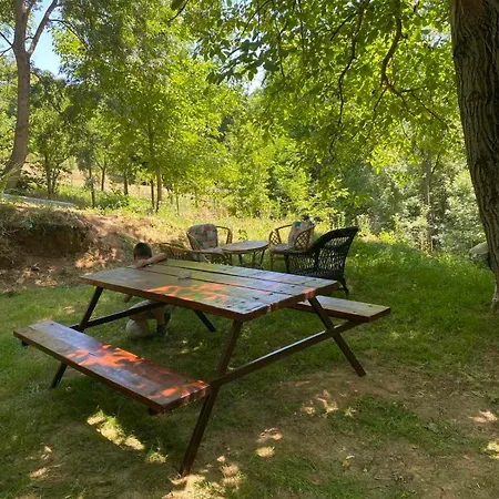 아파트 Vera Brestovik